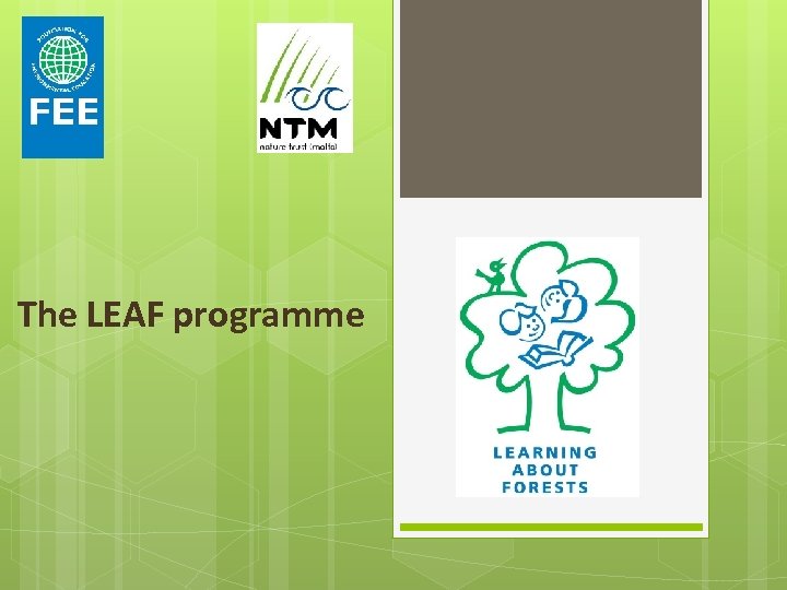 The LEAF programme 