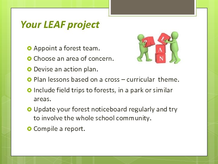 Your LEAF project Appoint a forest team. Choose an area of concern. Devise an