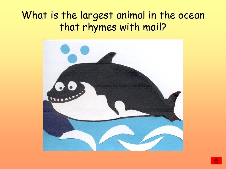 What is the largest animal in the ocean that rhymes with mail? 