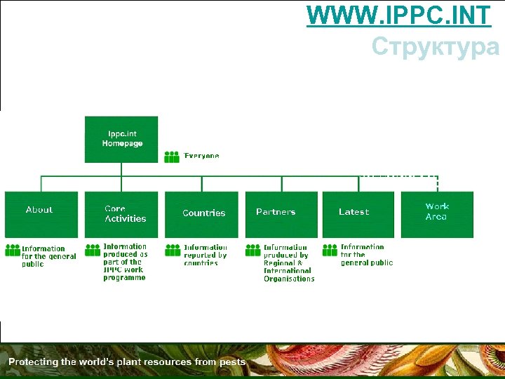 WWW. IPPC. INT: Структура 