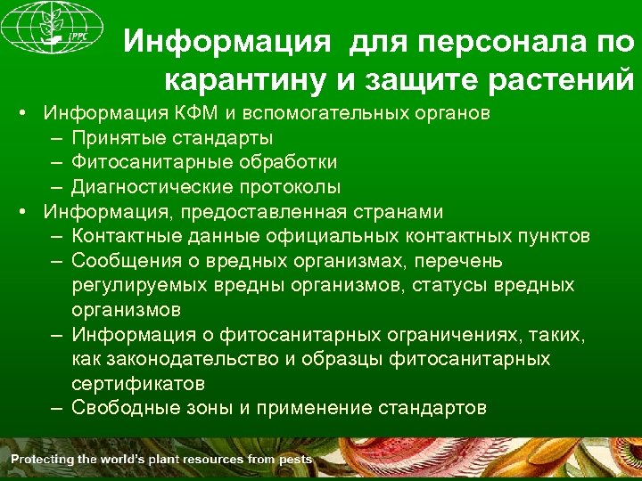 Информация для персонала по карантину и защите растений • Информация КФМ и вспомогательных органов