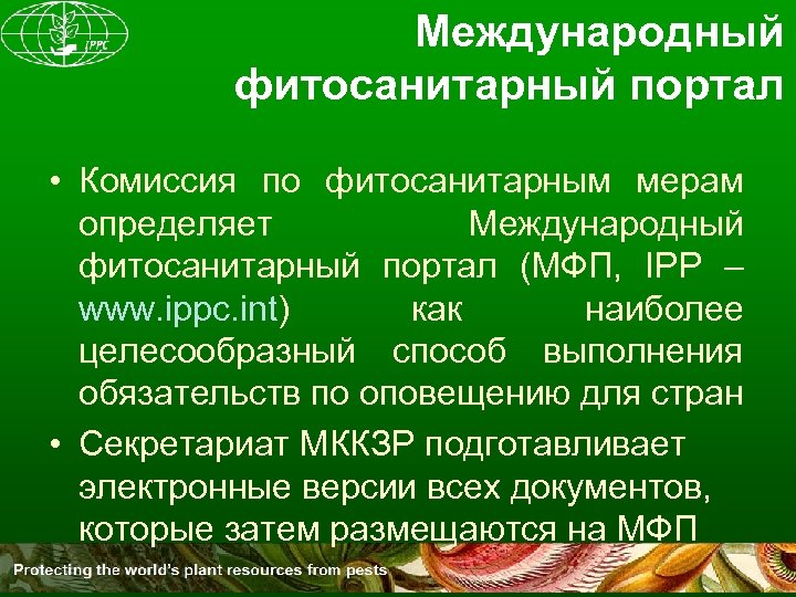 Международный фитосанитарный портал • Комиссия по фитосанитарным мерам определяет Международный фитосанитарный портал (МФП, IPP