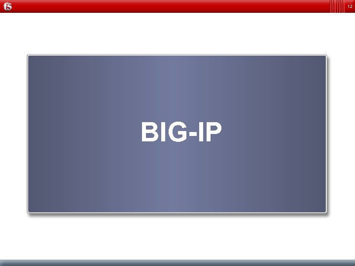 12 BIG-IP 