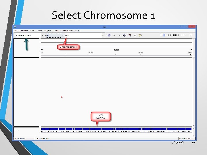 Select Chromosome 1 3/15/2018 10 