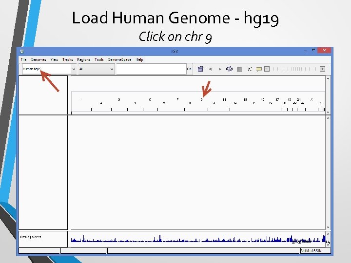Load Human Genome - hg 19 Click on chr 9 3/15/2018 14 