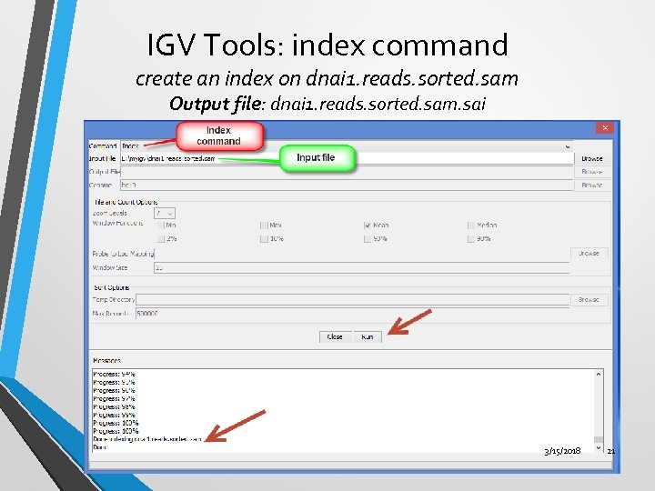 IGV Tools: index command create an index on dnai 1. reads. sorted. sam Output
