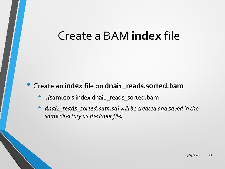 Create a BAM index file • Create an index file on dnai 1_reads. sorted.
