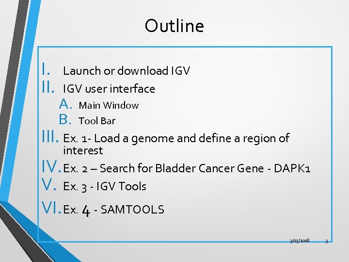 Outline I. II. Launch or download IGV user interface A. B. Main Window Tool