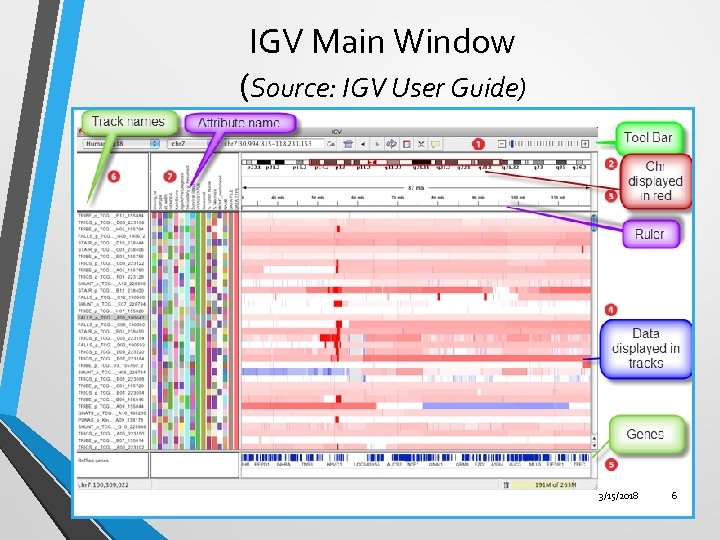 IGV Main Window (Source: IGV User Guide) 3/15/2018 6 