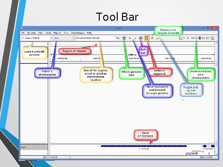 Tool Bar 3/15/2018 7 