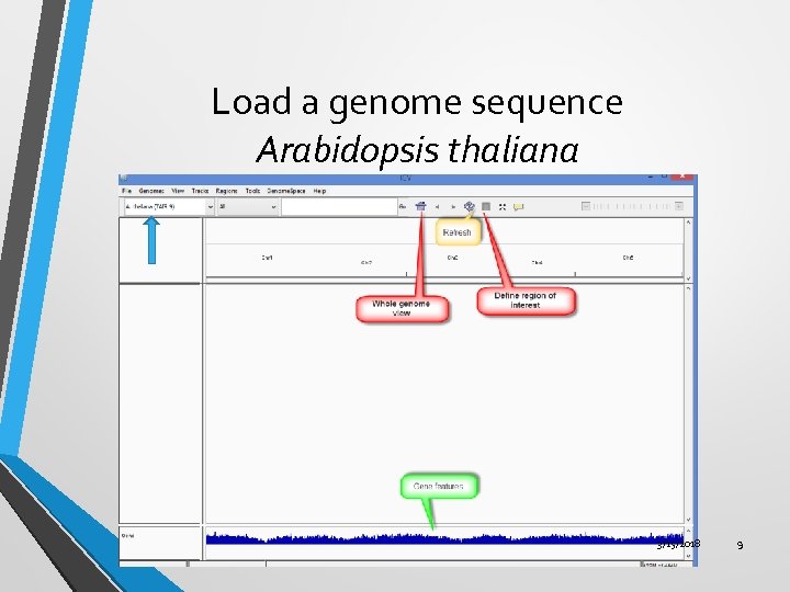 Load a genome sequence Arabidopsis thaliana 3/15/2018 9 