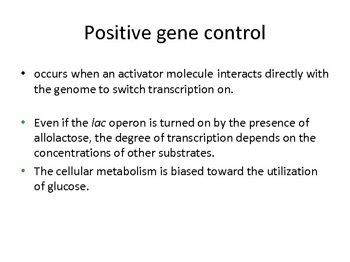 Positive gene control • occurs when an activator molecule interacts directly with the genome