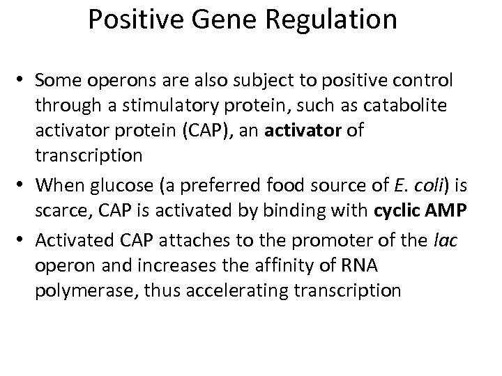 Positive Gene Regulation • Some operons are also subject to positive control through a