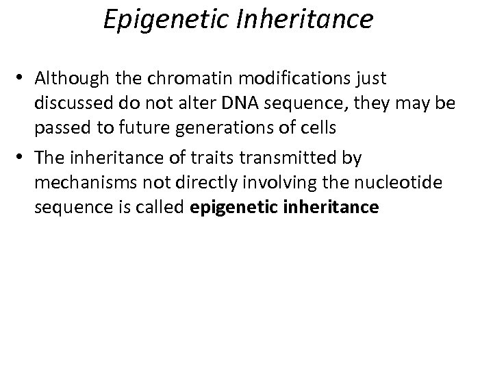 Epigenetic Inheritance • Although the chromatin modifications just discussed do not alter DNA sequence,