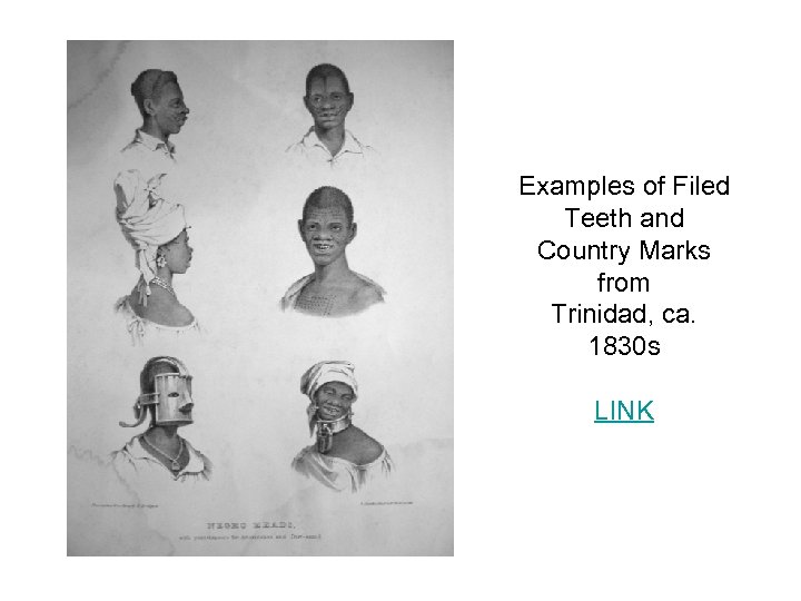 Examples of Filed Teeth and Country Marks from Trinidad, ca. 1830 s LINK 
