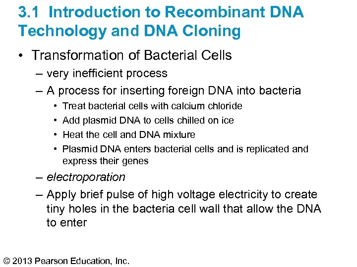 3. 1 Introduction to Recombinant DNA Technology and DNA Cloning • Transformation of Bacterial