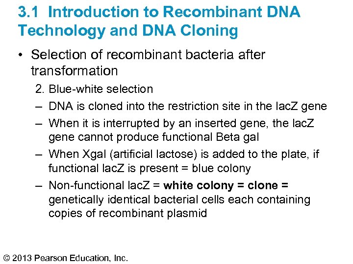 3. 1 Introduction to Recombinant DNA Technology and DNA Cloning • Selection of recombinant