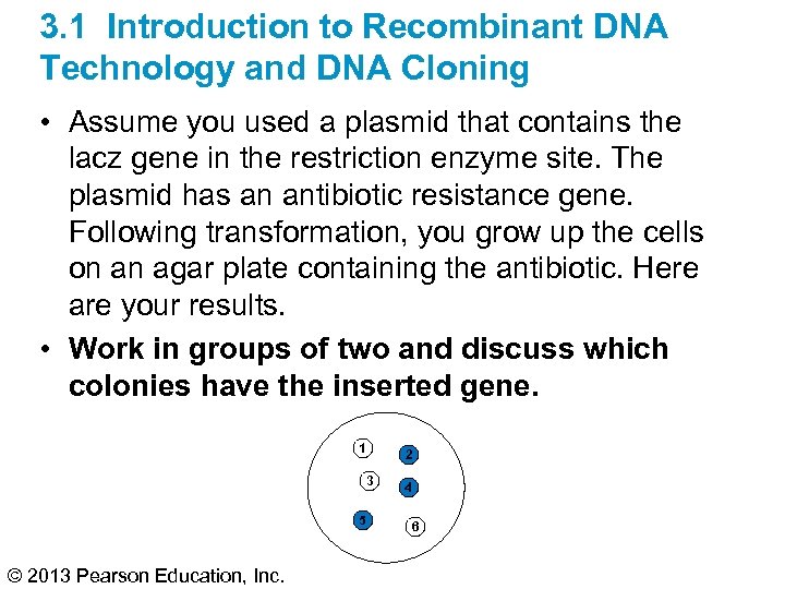 3. 1 Introduction to Recombinant DNA Technology and DNA Cloning • Assume you used