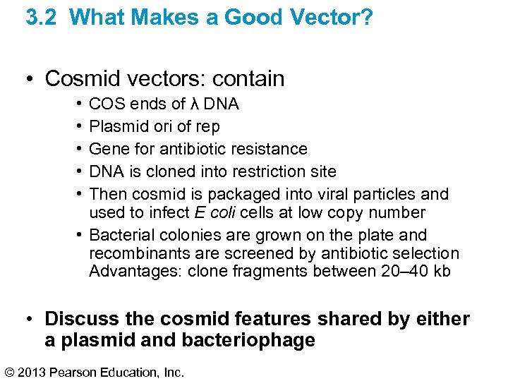 3. 2 What Makes a Good Vector? • Cosmid vectors: contain • • •