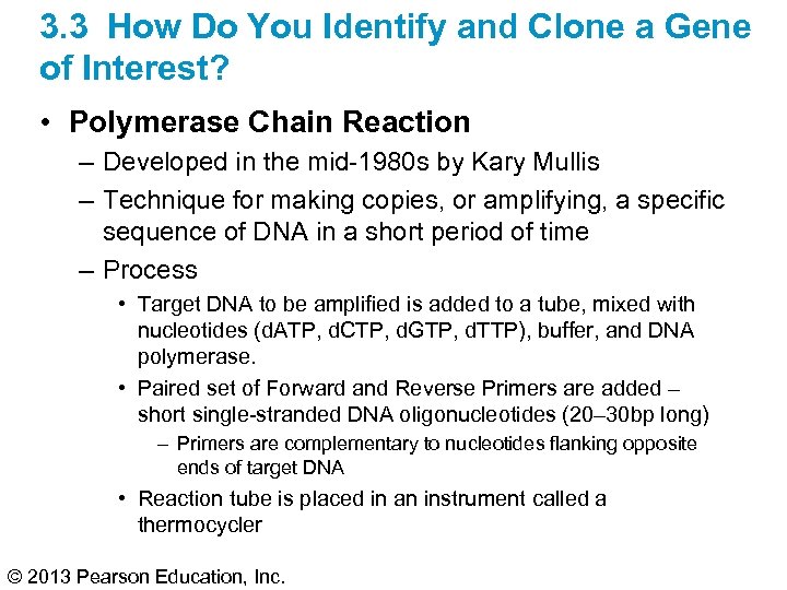 3. 3 How Do You Identify and Clone a Gene of Interest? • Polymerase