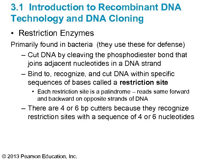 3. 1 Introduction to Recombinant DNA Technology and DNA Cloning • Restriction Enzymes Primarily
