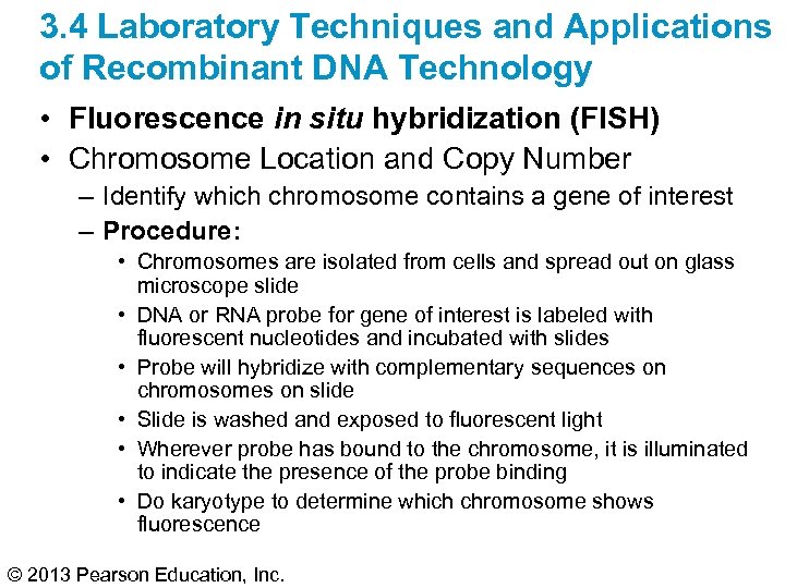3. 4 Laboratory Techniques and Applications of Recombinant DNA Technology • Fluorescence in situ