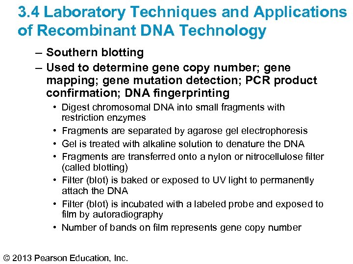 3. 4 Laboratory Techniques and Applications of Recombinant DNA Technology – Southern blotting –