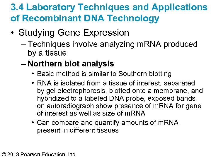 3. 4 Laboratory Techniques and Applications of Recombinant DNA Technology • Studying Gene Expression