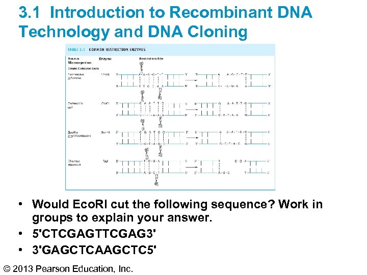 3. 1 Introduction to Recombinant DNA Technology and DNA Cloning • Would Eco. RI