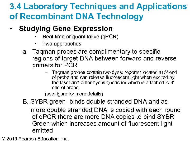3. 4 Laboratory Techniques and Applications of Recombinant DNA Technology • Studying Gene Expression
