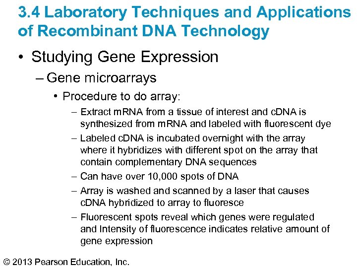 3. 4 Laboratory Techniques and Applications of Recombinant DNA Technology • Studying Gene Expression