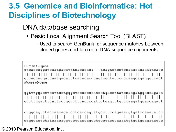 3. 5 Genomics and Bioinformatics: Hot Disciplines of Biotechnology – DNA database searching •