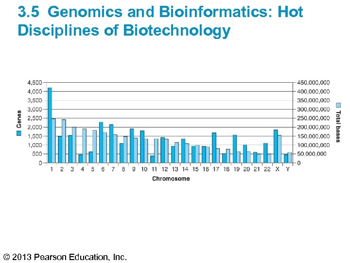 3. 5 Genomics and Bioinformatics: Hot Disciplines of Biotechnology © 2013 Pearson Education, Inc.