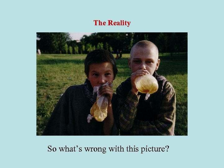 The Reality So what’s wrong with this picture? 