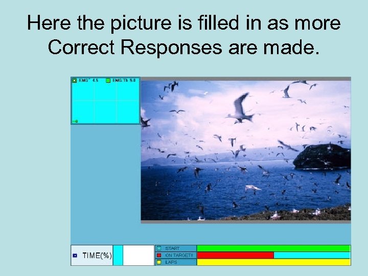 Here the picture is filled in as more Correct Responses are made. 