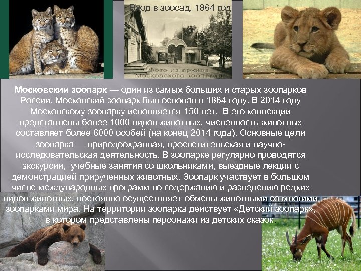 Московский зоопарк фото с описанием