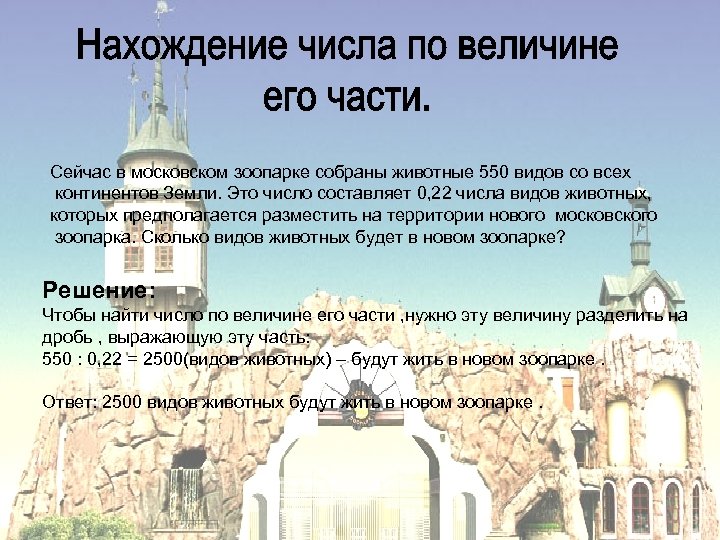 Сейчас в московском зоопарке собраны животные 550 видов со всех континентов Земли. Это число