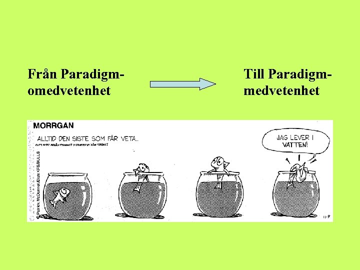 Från Paradigmomedvetenhet Till Paradigmmedvetenhet 
