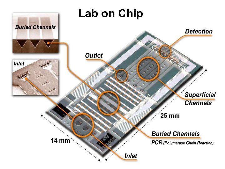 Lab on Chip 