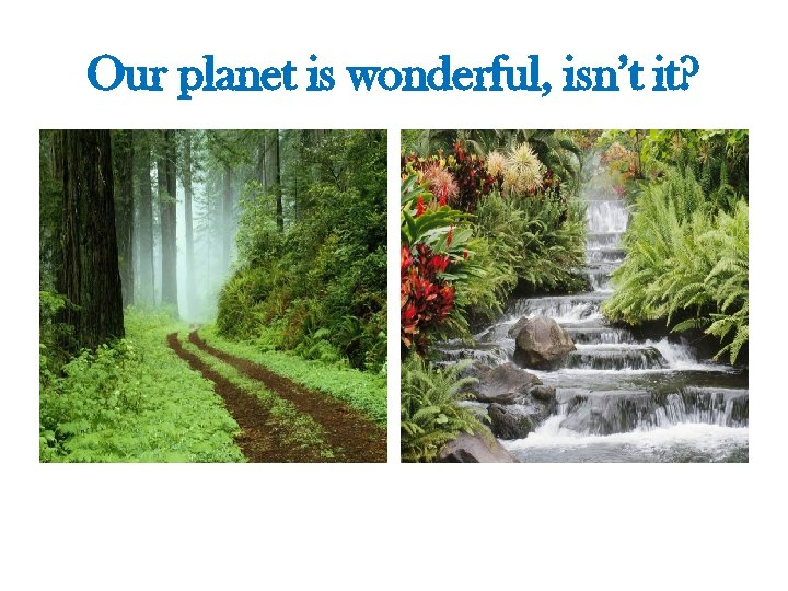 Our planet is wonderful, isn’t it? 