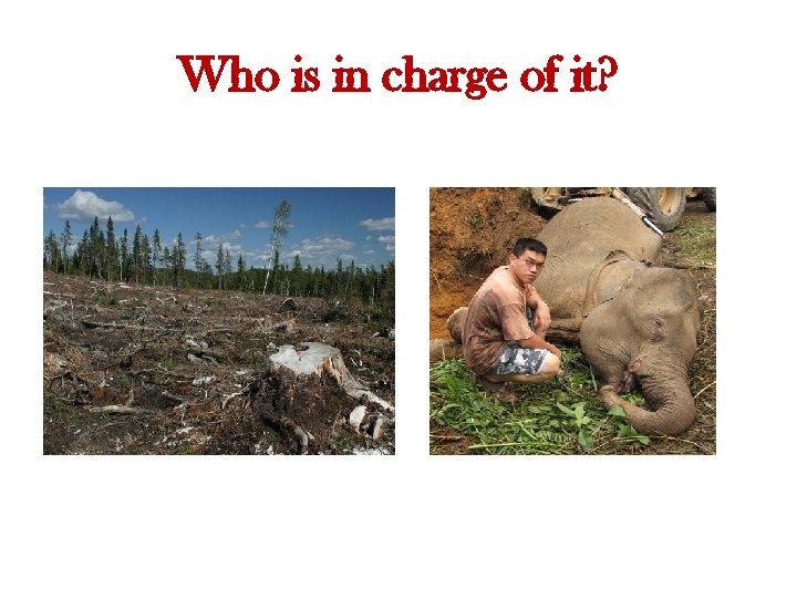 Who is in charge of it? 