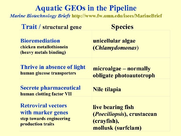 Aquatic GEOs in the Pipeline Marine Biotechnology Briefs http: //www. fw. umn. edu/isees/Marine. Brief