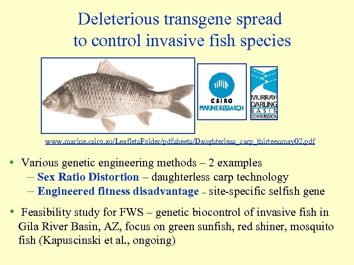 Deleterious transgene spread to control invasive fish species www. marine. csiro. au/Leaflets. Folder/pdfsheets/Daughterless_carp_thirteenmay 02.