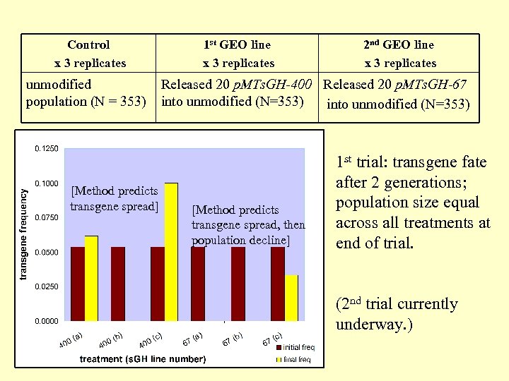 Control x 3 replicates unmodified population (N = 353) 1 st GEO line x