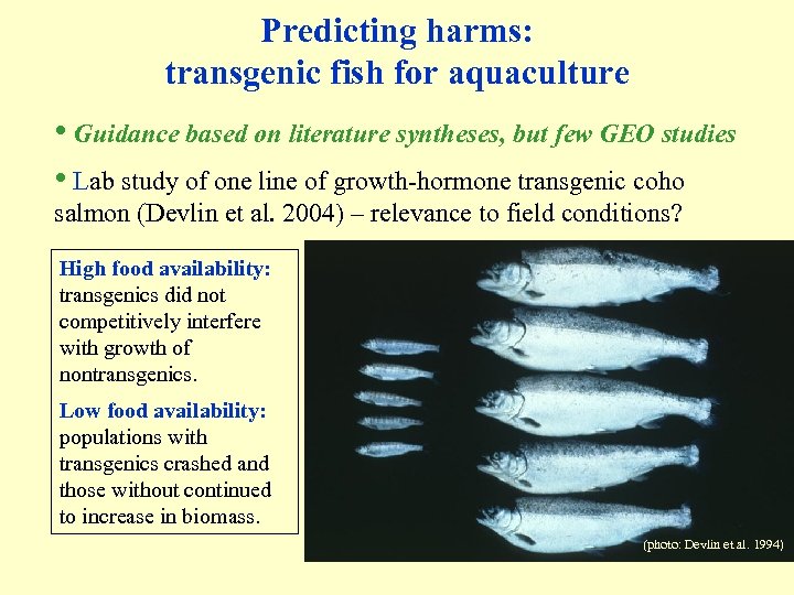 Predicting harms: transgenic fish for aquaculture • Guidance based on literature syntheses, but few