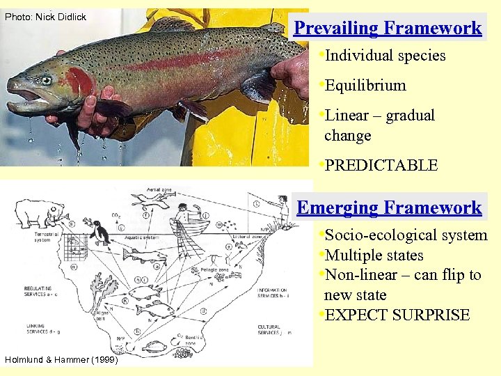 Photo: Nick Didlick Prevailing Framework • Individual species • Equilibrium • Linear – gradual