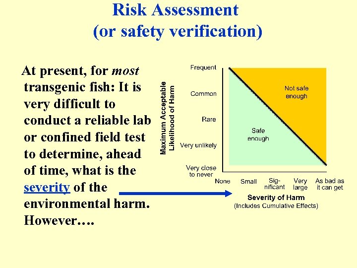 Risk Assessment (or safety verification) At present, for most transgenic fish: It is very