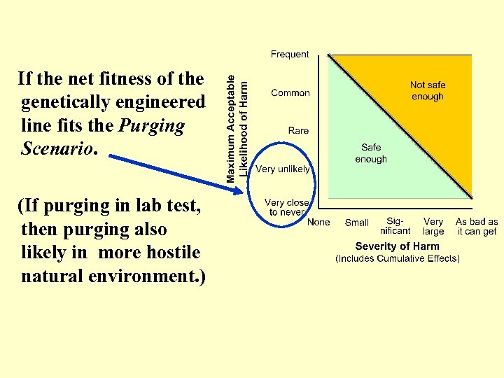 If the net fitness of the genetically engineered line fits the Purging Scenario. (If