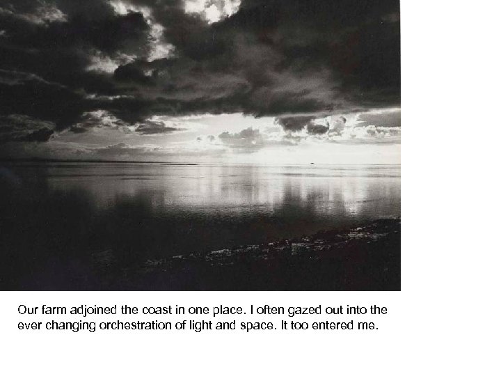 Our farm adjoined the coast in one place. I often gazed out into the
