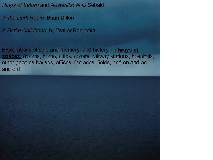 Rings of Saturn and Austerlitz: W G Sebald In the Dark Room: Brian Dillon